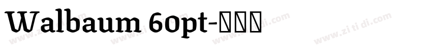 Walbaum 60pt字体转换